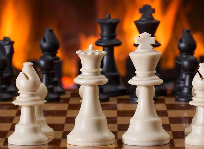 Curated Gaming Wisdom. Expert Insights Meet Passionate Player Community